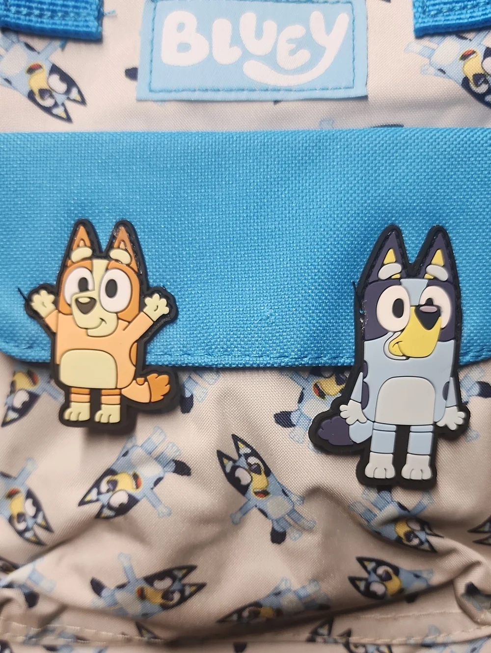 Bluey And Bingo 9